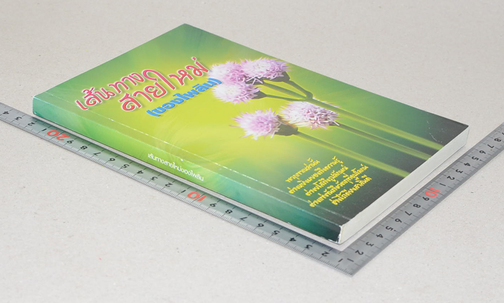 เส้นทางสายใหม่ (ของไพลิน)