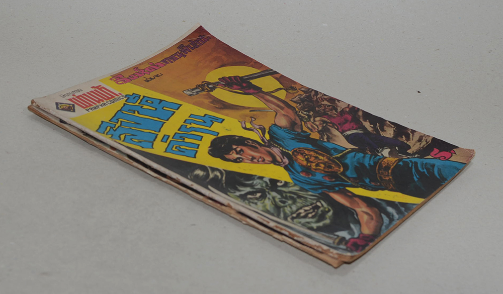 สิงห์ดำ (2 เล่มจบ/ขายตามสภาพ)