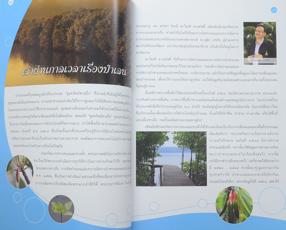 ปรายจากฟ้าสู่ป่าเลน (ขายตามสภาพ)