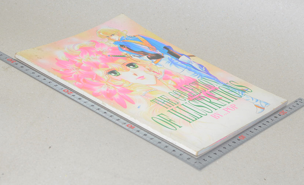 THE COLLECTION OF ILLUSTRATIONS