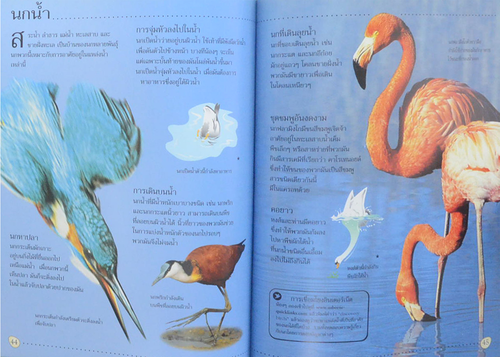 โลกของนก (ขายตามสภาพ)