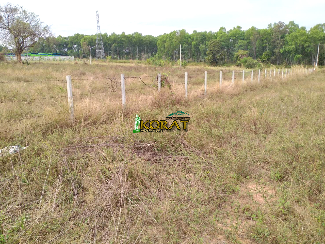 ขายที่ดิน 2ไร่ 3 งาน 94ตรว. โซน มทส. #รหัสทรัพย์ KP-0321