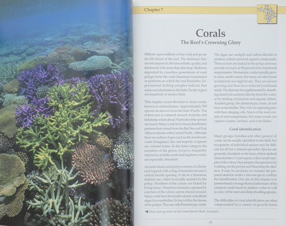 INDO-PACIFIC CORAL REEF FIELD GUIDE