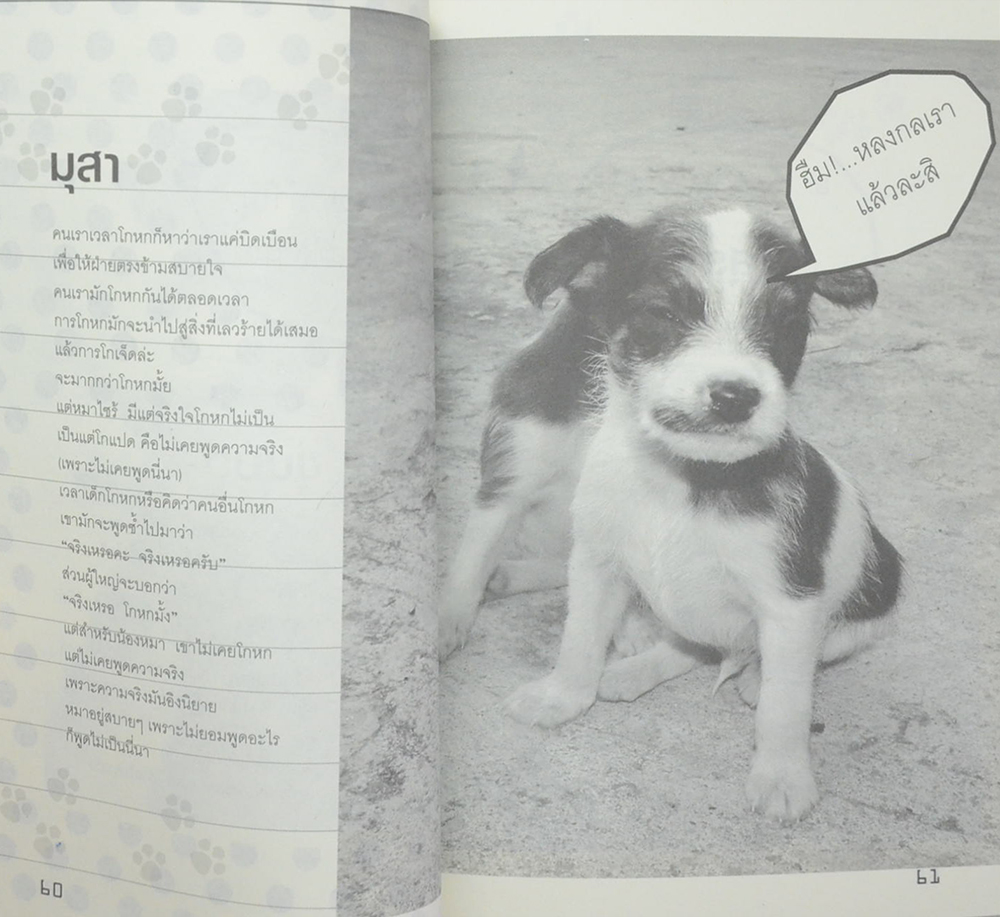 ขำซ่าส์หมากับแมว