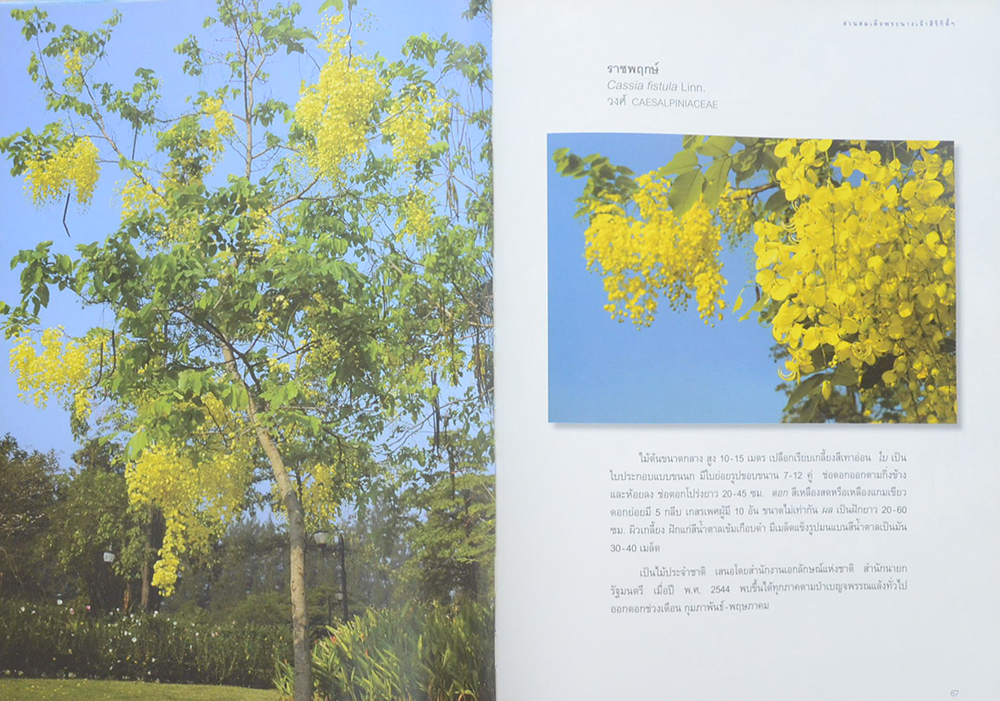 สวนสมเด็จพระนางเจ้าสิริกิติ์ฯ