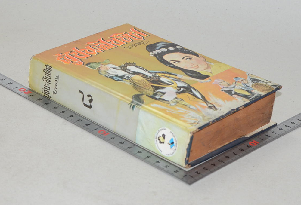 ผู้ชนะสิบทิศ (เล่ม 8)