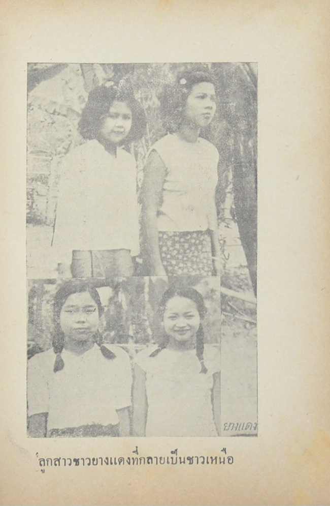 30 ชาติในเชียงราย