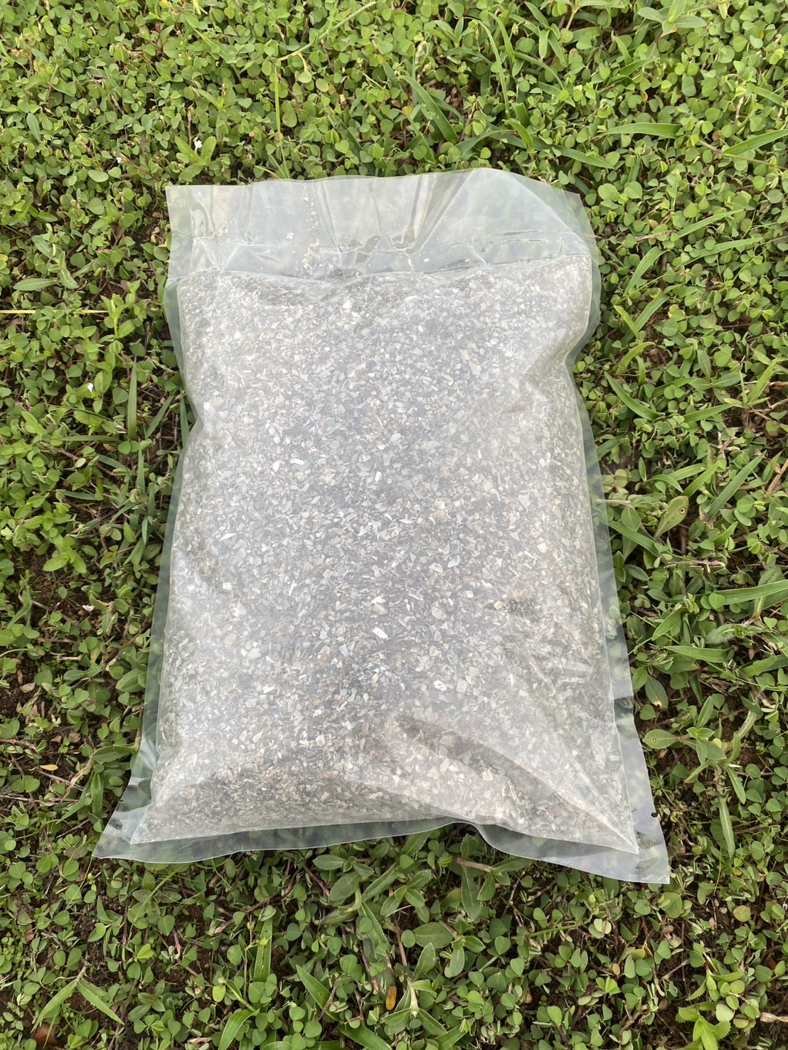 เปลือกหอยบดแห้ง 100% Shell Flour