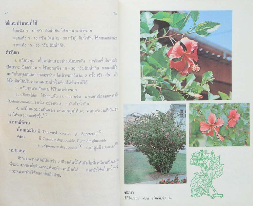 การใช้สมุนไพร (เล่ม 1)