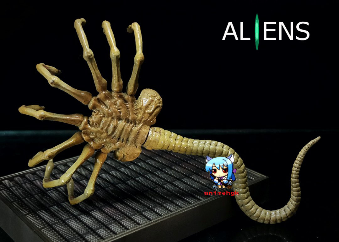 เอเลี่ยน เกาะหน้า Alien Xenomorph face hugger 1/6 พร้อมฐาน resin
