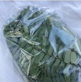 ใบมะขาม ใบมะขามใบใหญ่สด Tamarind leaf