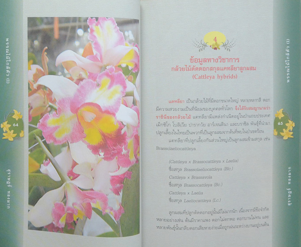 พรรณไม้ใกล้ตัว (ขายตามสภาพ)