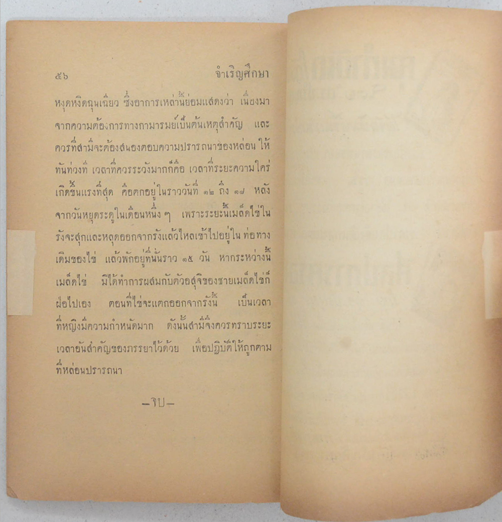 ศิลปการยวนใจชาย