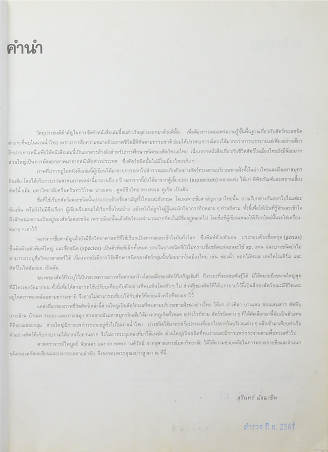 สัตว์ชายฝั่งทะเลไทย (ขายตามสภาพ)