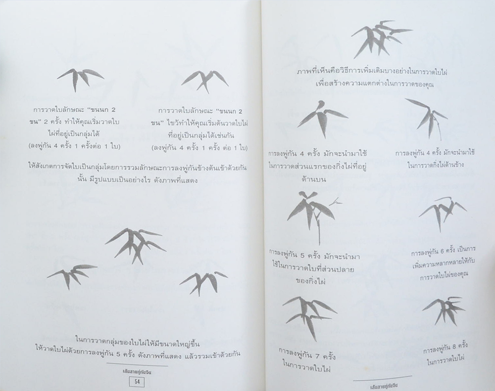 เส้นสายภู่กันจีน