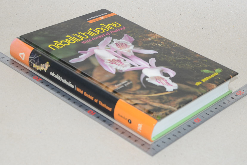 กล้วยไม้ป่าเมืองไทย