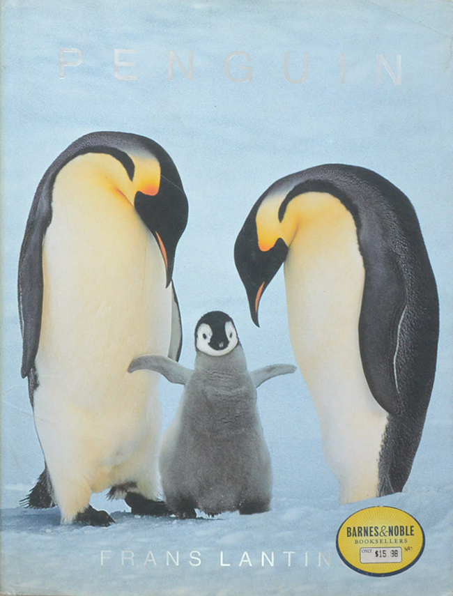 PENGUIN