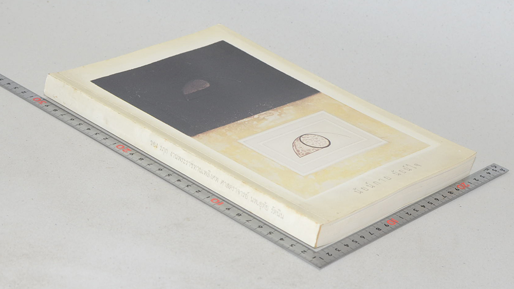 นัยน์กาย นัยน์ใจ (รับใช้ใต้เบื้องพระยุคลบาทฯ)