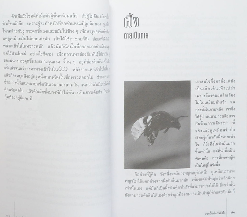 พวกนั้นนั่นกันยังไง