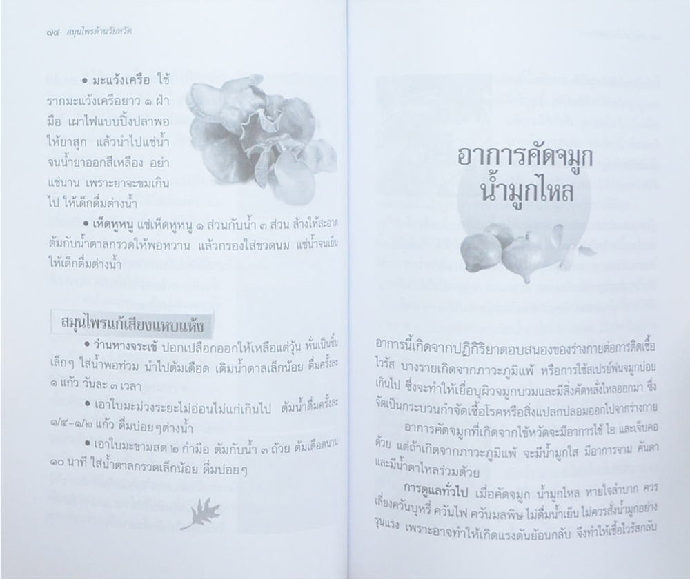 สมุนไพรต้านภัยหวัด