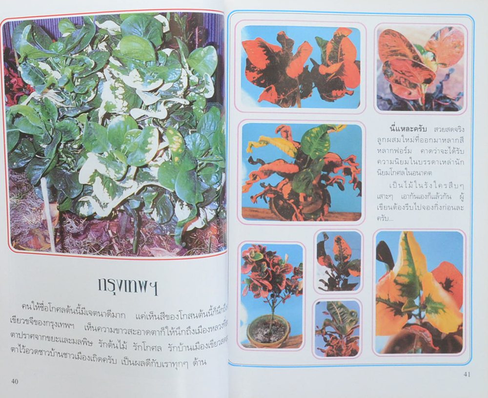 ประกายเซียน ปีที่ 2 ฉบับที่ 2 เมษายน 2540