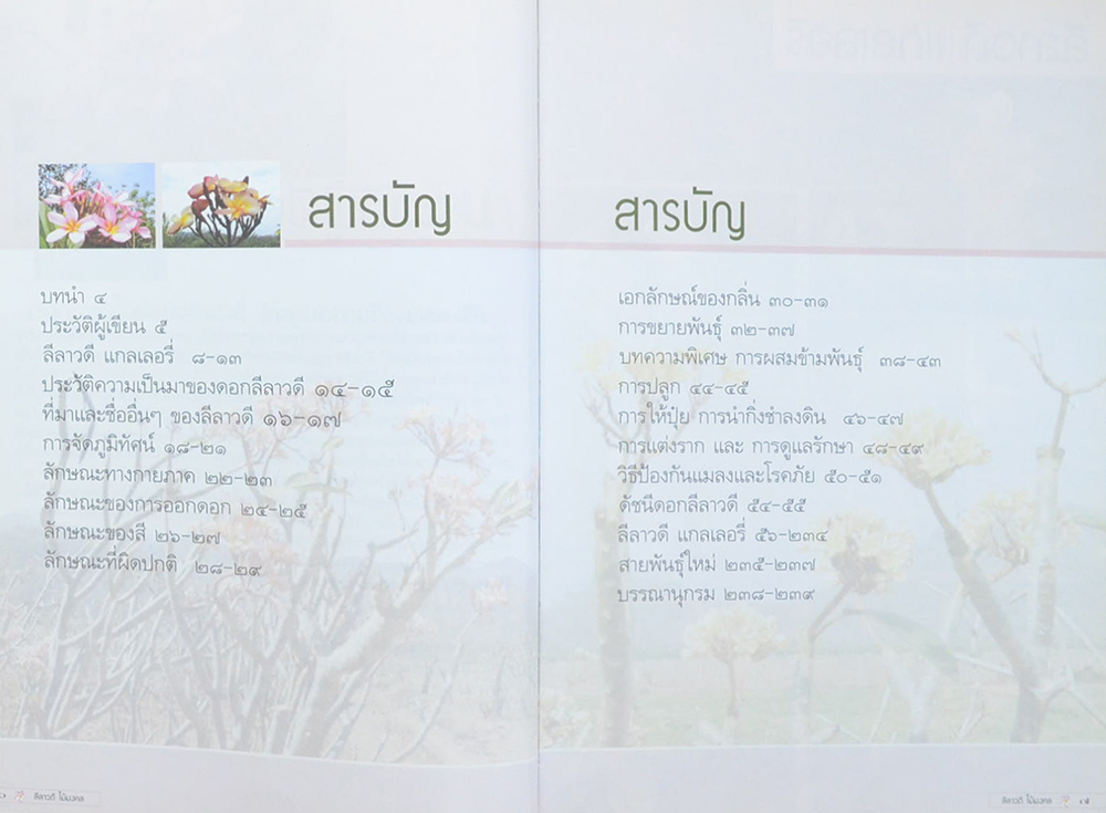 ลีลาวดี ไม้มงคล: ตำนานไม้ดอกที่เคยถูกลืม (ขายตามสภาพ)