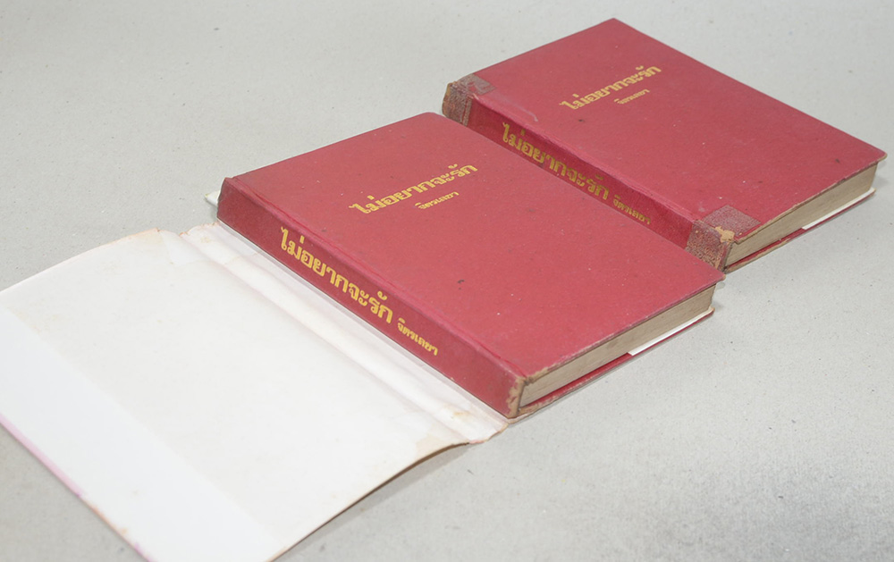 ไม่อยากจะรัก (2 เล่มจบ)