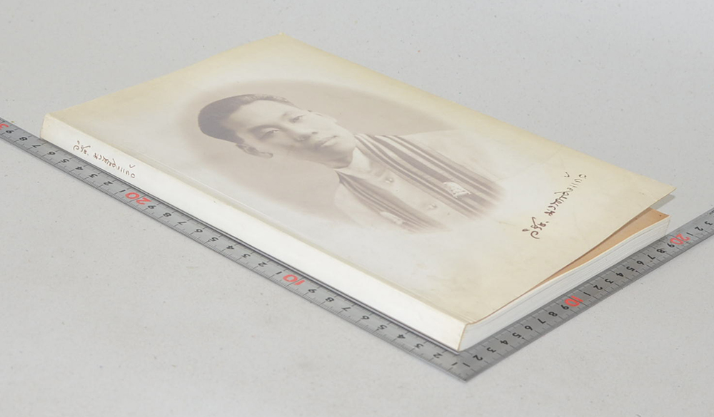 นายแพทย์วิรัช มรรคดวงแก้ว (กามนิต-วาสิฏฐี (ฉบับย่อ))