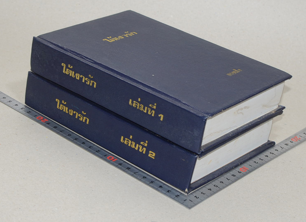 ใต้เงารัก (2 เล่มจบ)