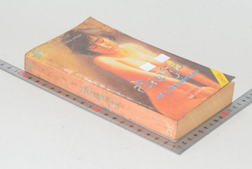 สนิมสร้อย (เล่มเล็ก)