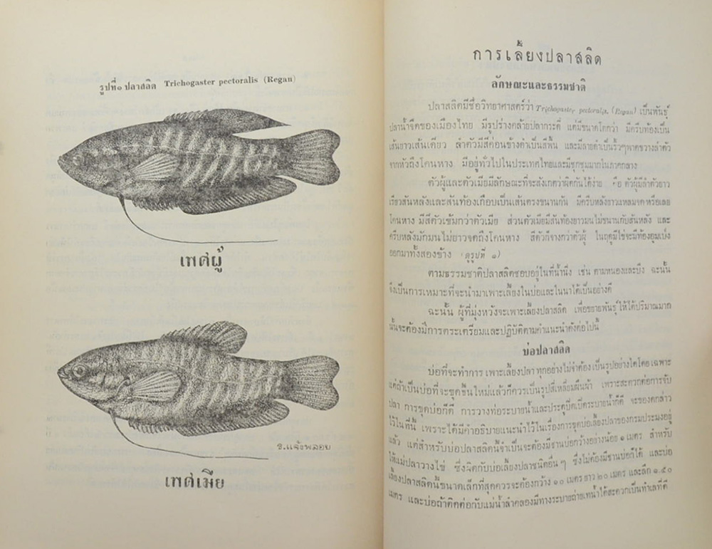 การเลี้ยงสัตว์น้ำ