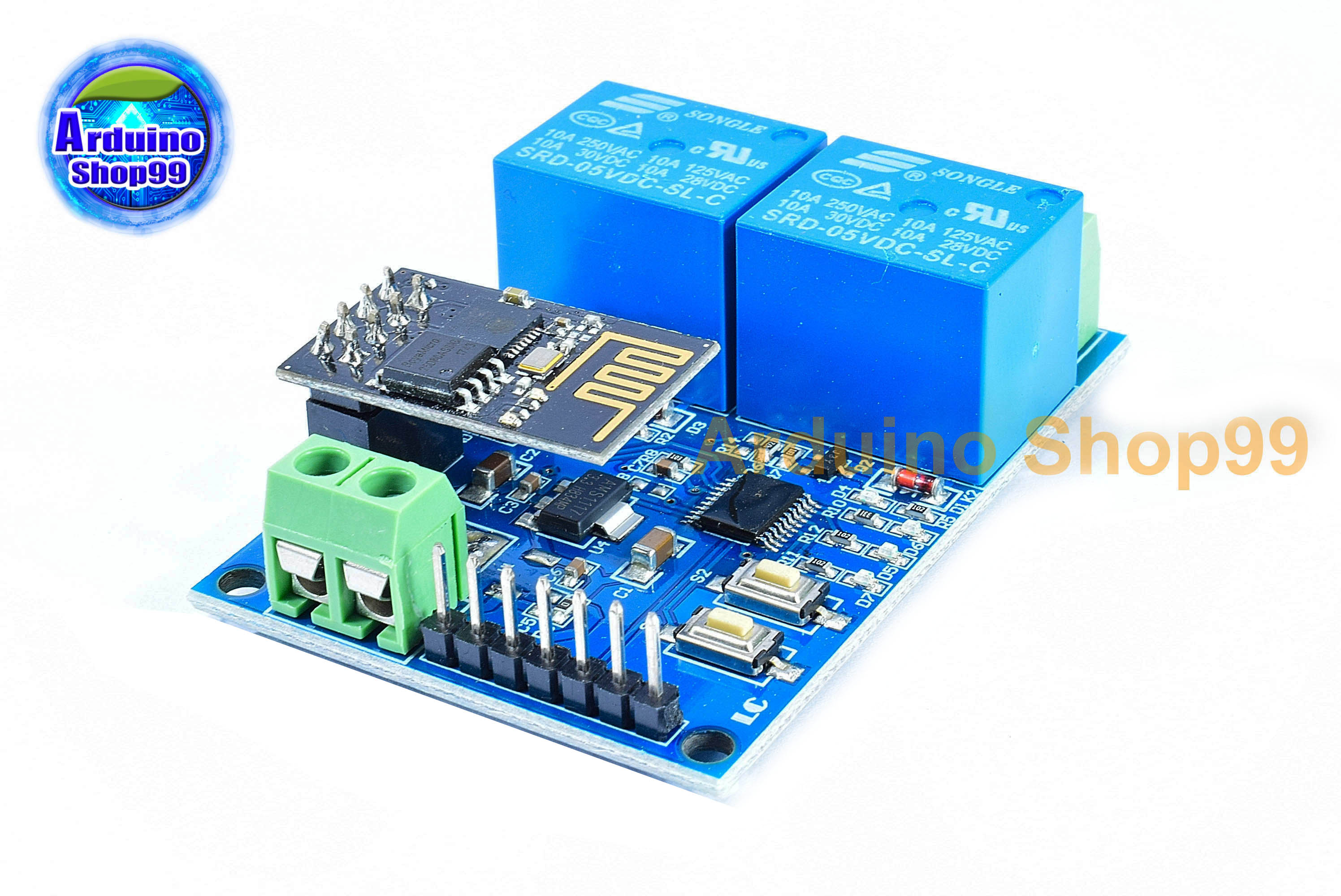 ESP8266 + relay 5V 2 Channel 10 A WiFi IoT smart home