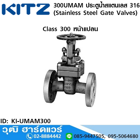 KITZ รุ่น 300UMAM ประตูน้ำสแตนเลส หน้าแปลน (Stainless Steel Gate Valves) 1/2"-8"