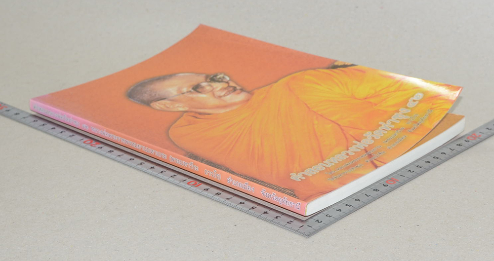 คำสอนหลวงพ่อวัดท่าซุง (เล่ม 42)