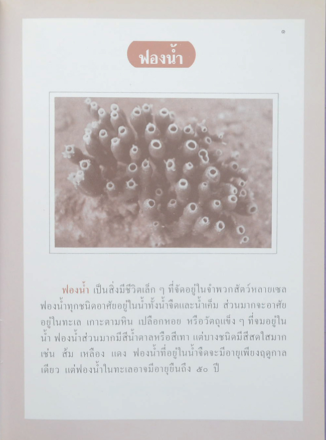 หนังสืออ่านประกอบอ้างอิงกลุ่มสร้างประสบการณ์ชีวิต ชุด จุลชีวัน (3 เล่ม)