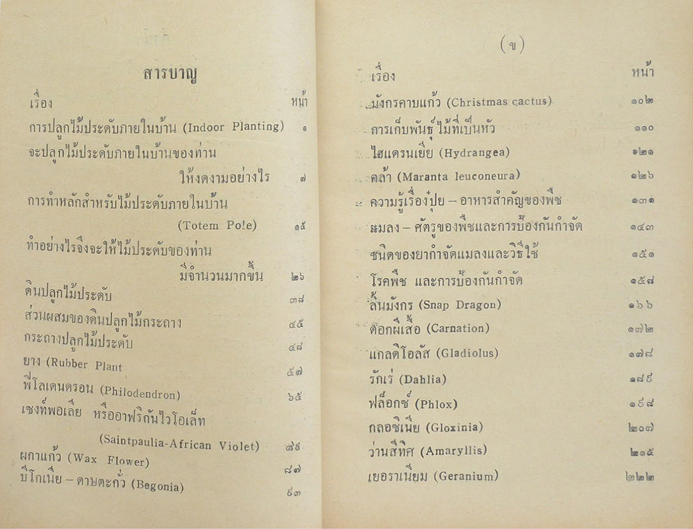 วิธีปลูกไม้ประดับบ้าน