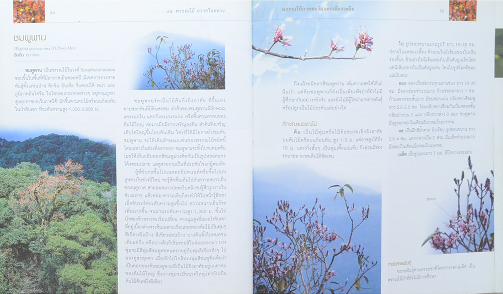 84 พรรณไม้ถวายในหลวง (มีเมล็ดพืช 3 ชนิดให้ทดลองปลูก / ขายตามสภาพ)