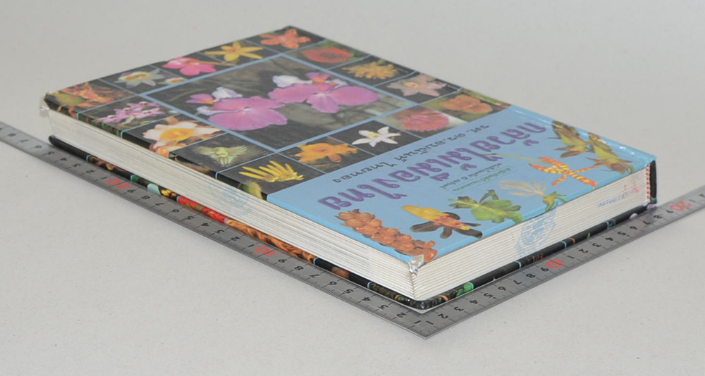 กล้วยไม้เมืองไทย (ขายตามสภาพ)