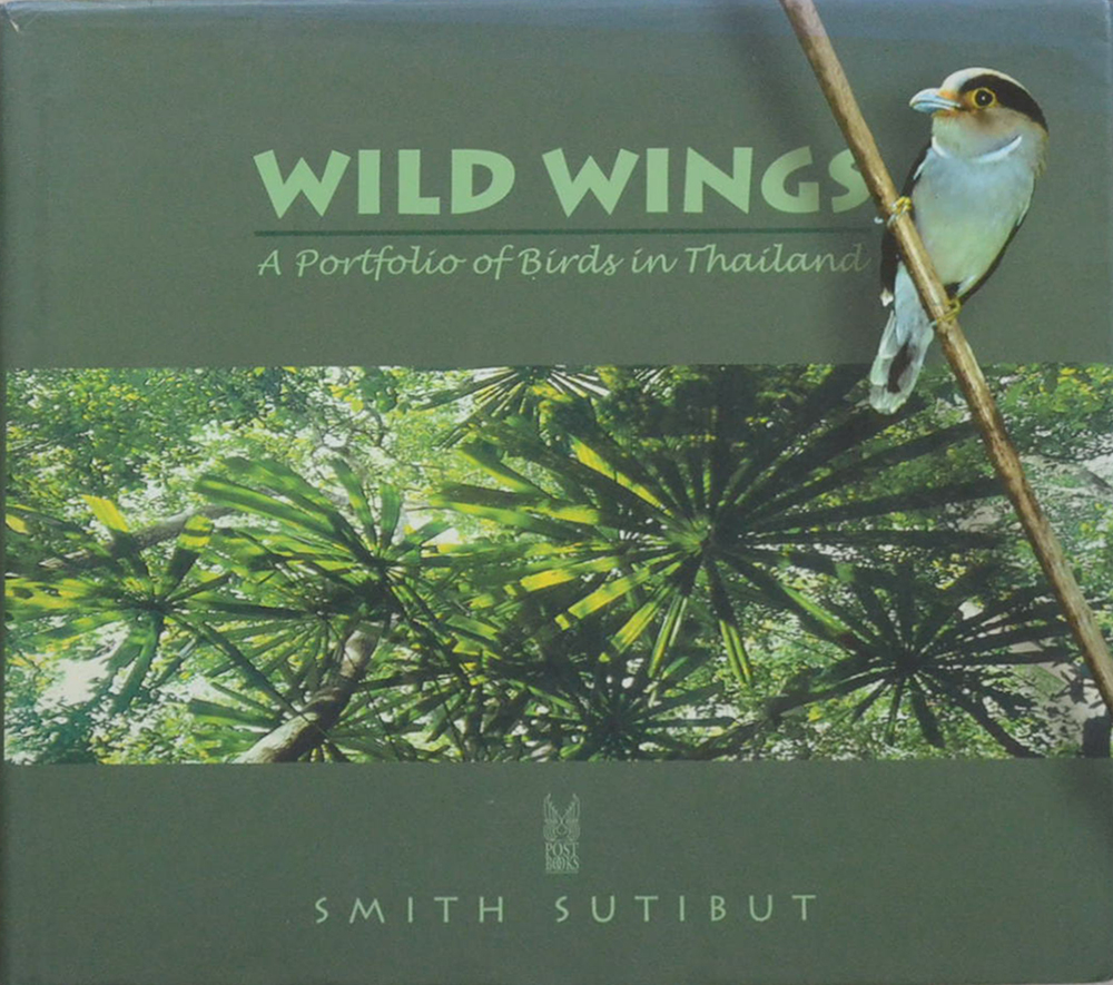WILD WINGS: A Portfolio of Birds in Thailand