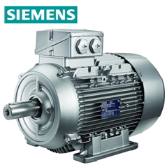 http://www.moveengineer.com/SIEMENS_electric-motor