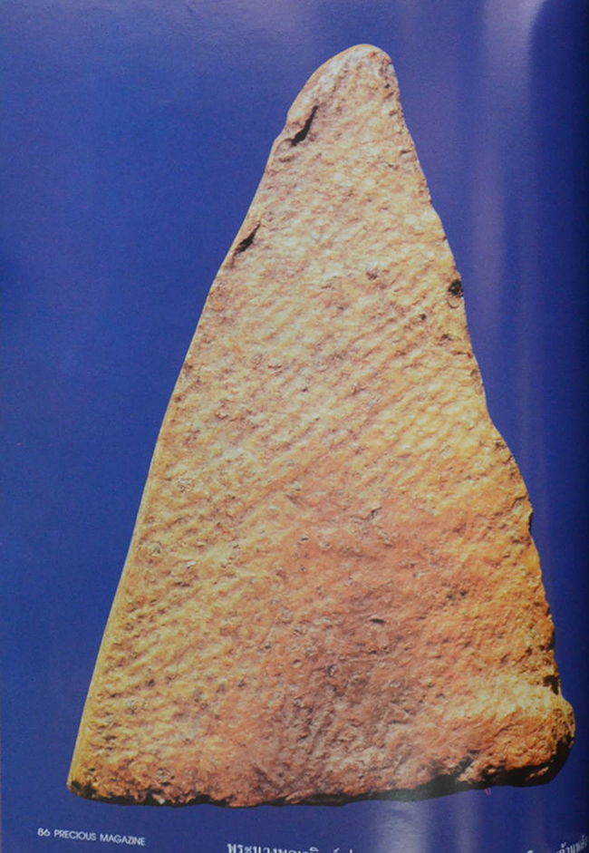 PRECIUS ปีที่ 1 ฉบับที่ 7 พฤศจิกายน 2538