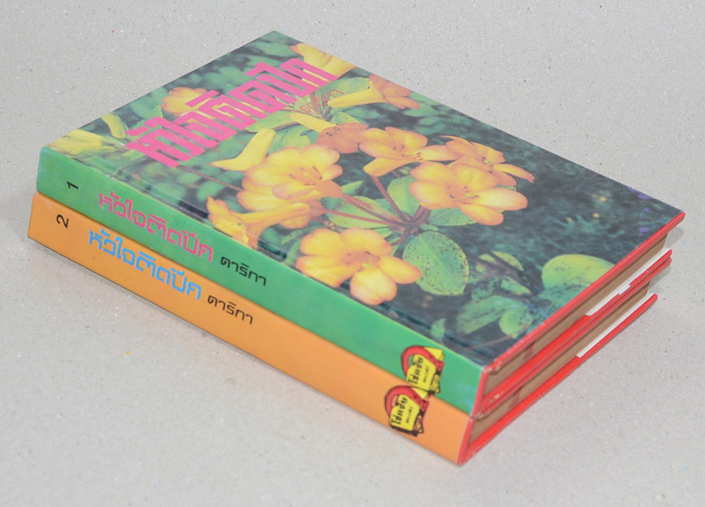 หัวใจติดปีก (2 เล่มจบ)