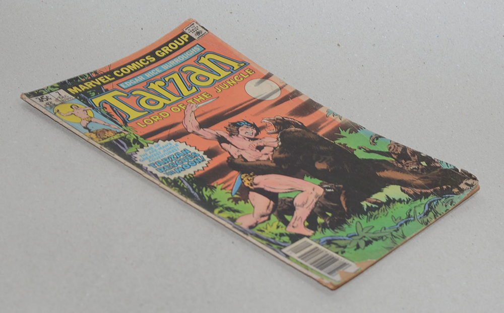 Tarzan LORD OF THE JUNGLE