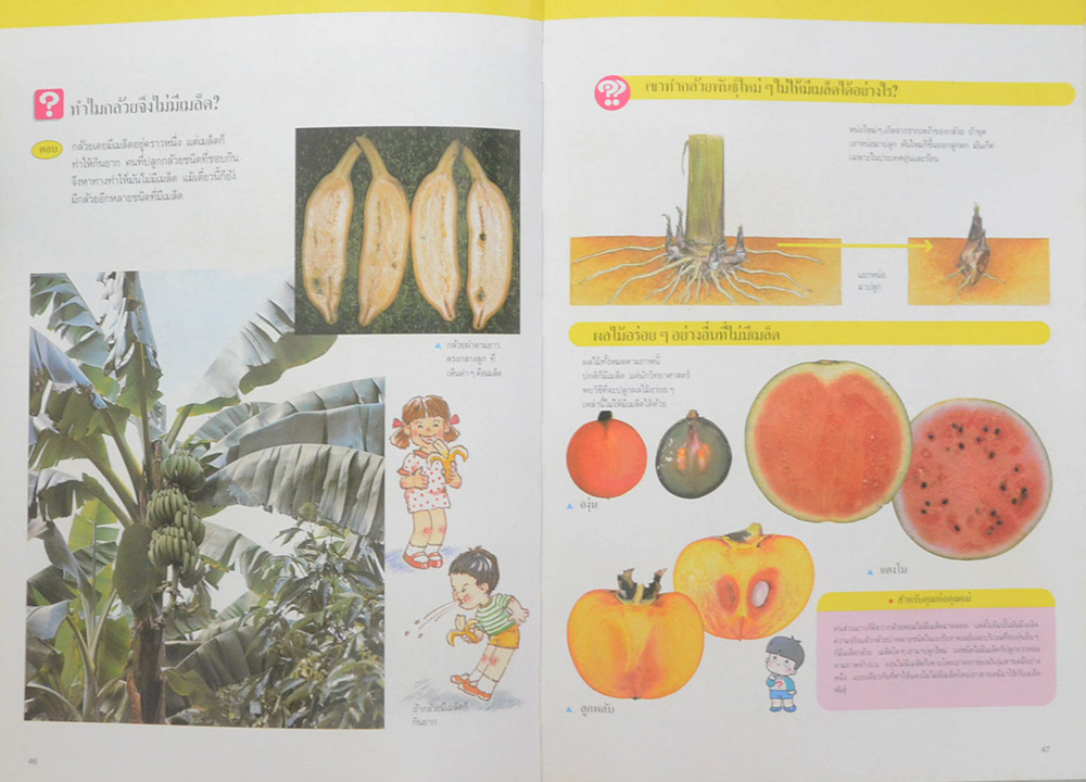 บุปผชาติและพฤกษา