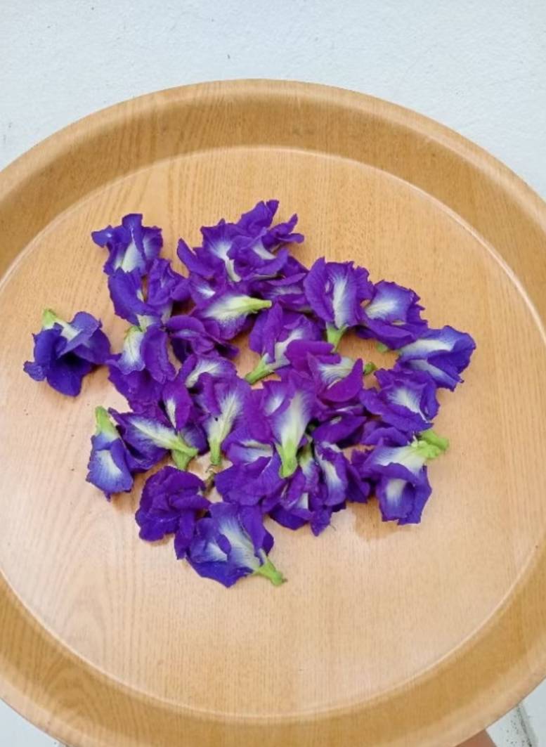 ดอกอัญชัน (สีฟ้า) เก็บสด