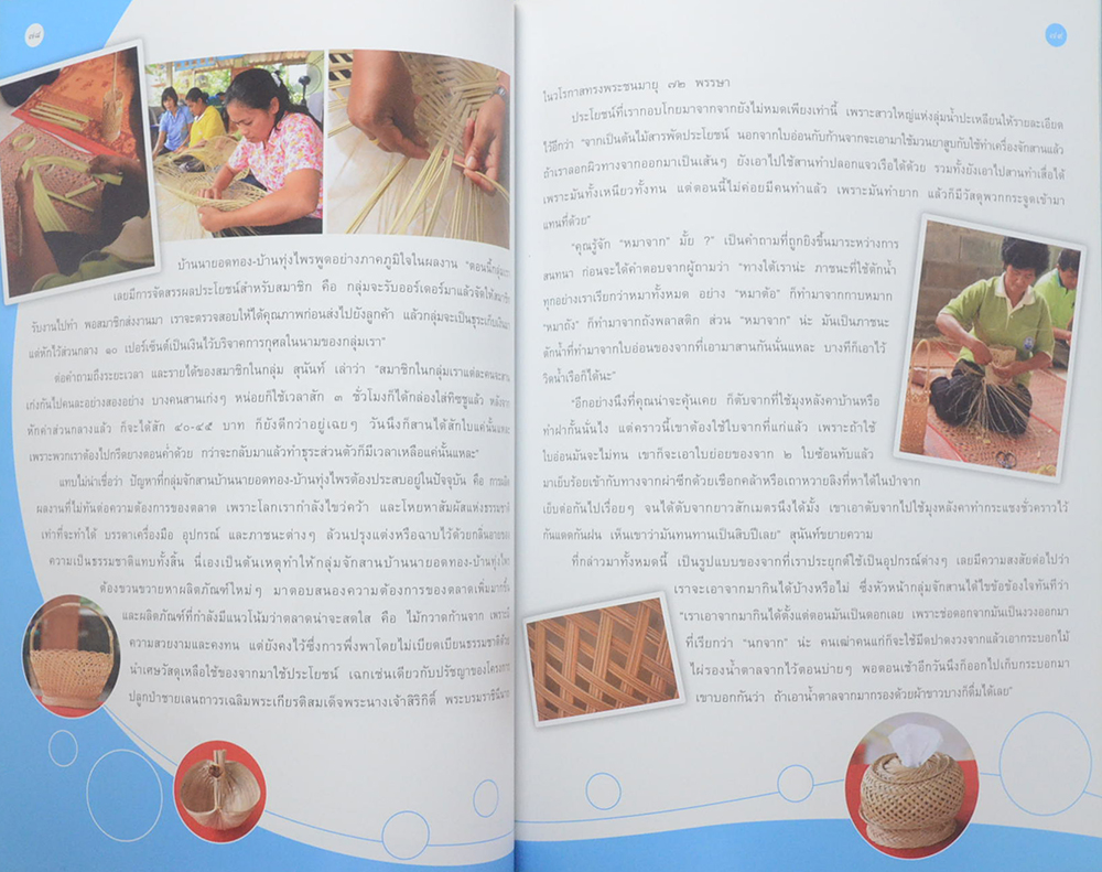 ปรายจากฟ้าสู่ป่าเลน (ขายตามสภาพ)