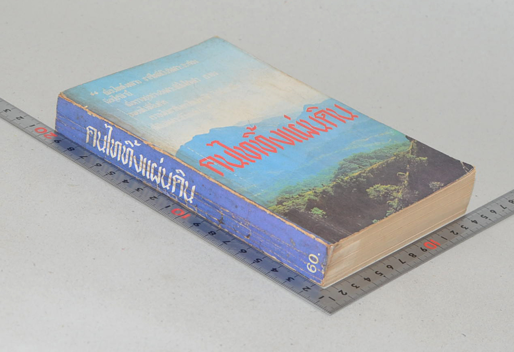 คนไททิ้งแผ่นดิน