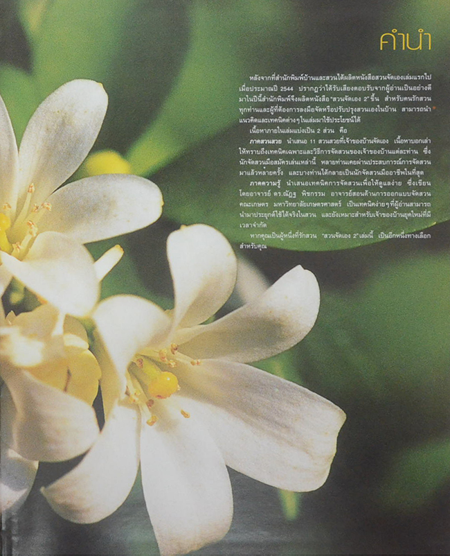 สวนจัดเอง 2