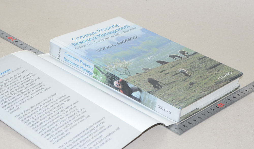 Common Property Resource Management