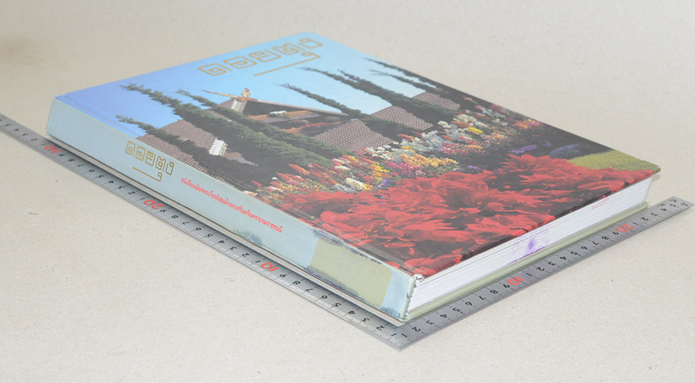 ดอยตุง (ขายตามสภาพ)